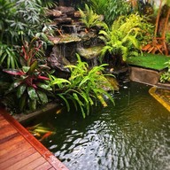 Cher Cafe (Southern coffee เก่า)