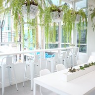 WHITE  bake.wine.cafe