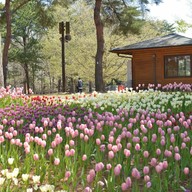 Hitachi Seaside Park