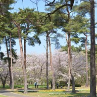 Hitachi Seaside Park
