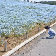 Hitachi Seaside Park