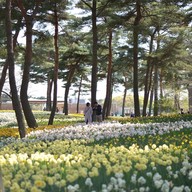Hitachi Seaside Park