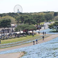 Hitachi Seaside Park