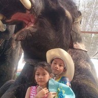 วังช้างอยุธยาแลเพนียด