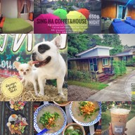 สิงหา คอฟฟี่แอนด์เฮาส์