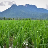 เลอคันนา ฟาร์มสเตย์ เขาค้อ ภูทับเบิก