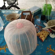 ก๋วยเตี๋ยวเรือกว๊านพะเยา ย่านพัฒนาการ (อร่อยต้นฉบับคนเมือง)