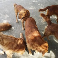 วัดใหญ่สว่างอารมณ์