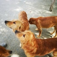 วัดใหญ่สว่างอารมณ์