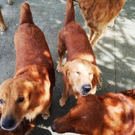 วัดใหญ่สว่างอารมณ์