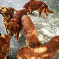 วัดใหญ่สว่างอารมณ์