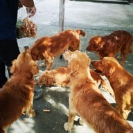 วัดใหญ่สว่างอารมณ์