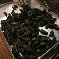 สังกะสี