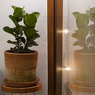 บรรยากาศ The White Cafe Milk&Toast