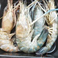 หัวมุมชาบู๊ (ถาดเบ้อเร่อ)