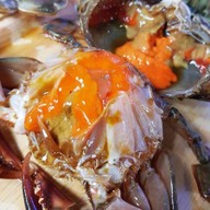 เมนูของร้าน ปูดองอันยอง โชคชัย 4