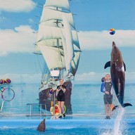 บรรยากาศ Dolphins Bay Phuket