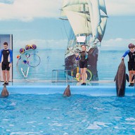 บรรยากาศ Dolphins Bay Phuket