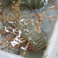 เมนูของร้าน มุขมณี ซีฟู้ด