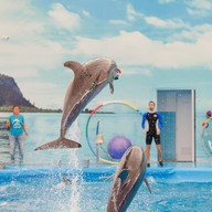 บรรยากาศ Dolphins Bay Phuket