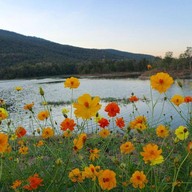 บรรยากาศ โครงการชลประทานเชียงใหม่ สันเขื่อน700ปี