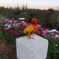 โครงการชลประทานเชียงใหม่ สันเขื่อน700ปี