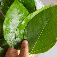 เมนูของร้าน หมูแนม เมืองย่า