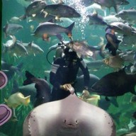 บรรยากาศ เชียงใหม่ซูอควาเรียม