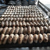 นายอู๊ดกล้วยทุบบางไผ่เพชรเกษมซอย20