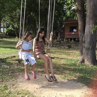 ผึ้งหลวงแคมป์กราวด์