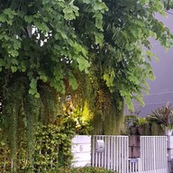 hairintrend.com home salon