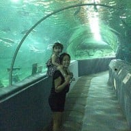 เชียงใหม่ซูอควาเรียม