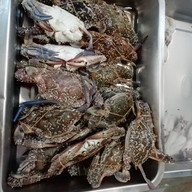 DOOBADOO Cafe สาขา 1