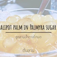 ต้นลาน(ขนมหวานลูกลานน้ำตาลโตนด)