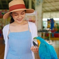 บรรยากาศ The field animals dream