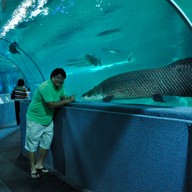 บรรยากาศ เชียงใหม่ซูอควาเรียม