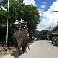 ปางช้างแม่แตง