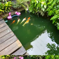 สวน 2 ครูคาเฟ่และรีสอร์ท