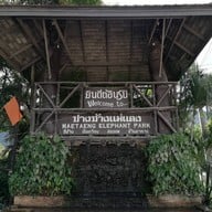 ปางช้างแม่แตง