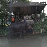 ปางช้างแม่แตง