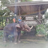 ปางช้างแม่แตง