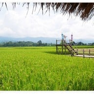 บรรยากาศ ริมนากาแฟ