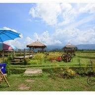 บรรยากาศ ริมนากาแฟ