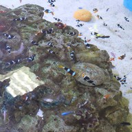 บรรยากาศ สถานแสดงพันธุ์สัตว์น้ำ