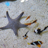 บรรยากาศ สถานแสดงพันธุ์สัตว์น้ำ