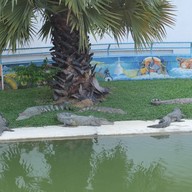 บรรยากาศ สถานแสดงพันธุ์สัตว์น้ำ