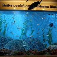 บรรยากาศ สถานแสดงพันธุ์สัตว์น้ำ