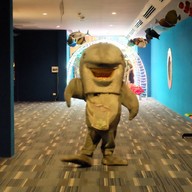 บรรยากาศ สถานแสดงพันธุ์สัตว์น้ำ