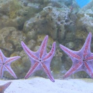 บรรยากาศ สถานแสดงพันธุ์สัตว์น้ำ