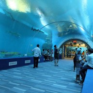 บรรยากาศ สถานแสดงพันธุ์สัตว์น้ำ